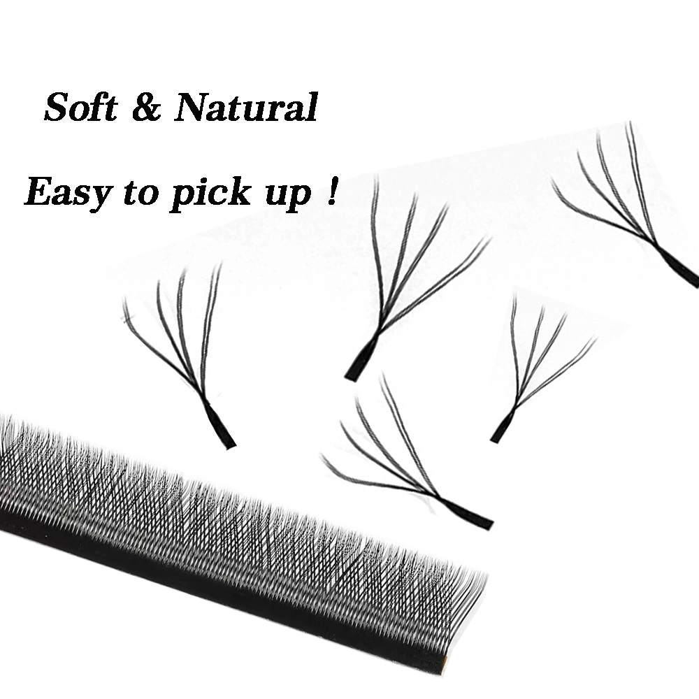 Qbeautylashes 3D 4D 6D 8D W Sh – Eyelash Extension Double Volume Bewertung und Preis